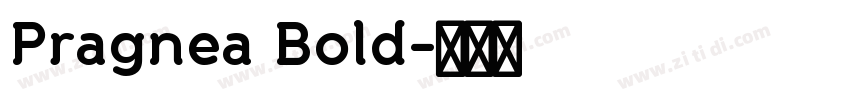 Pragnea Bold字体转换 Pragnea Bold字体转换